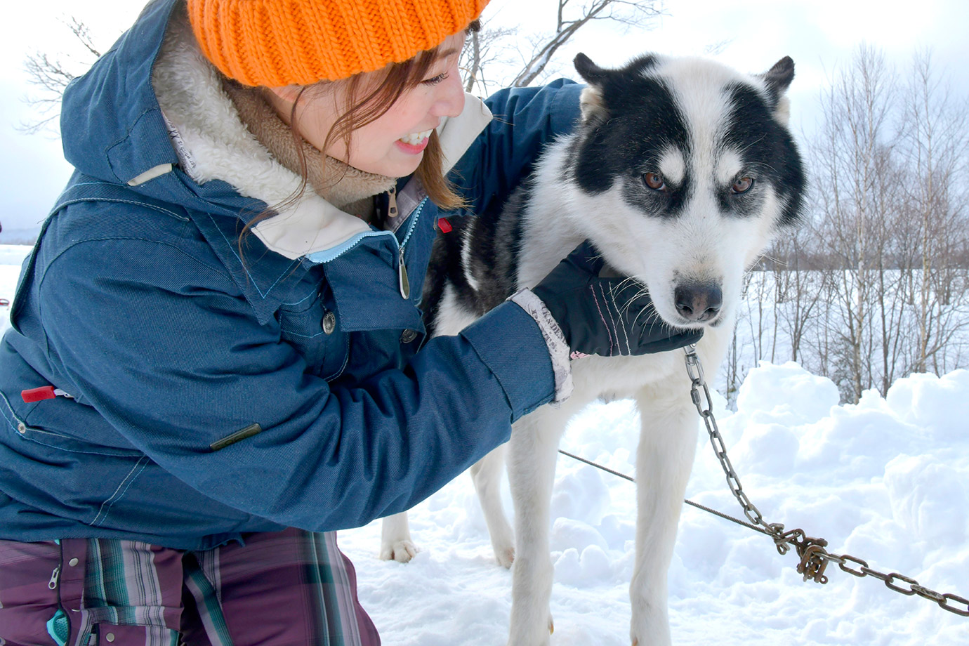 いつか見た童話の世界がここに！ 北海道・上川町で犬ぞり体験｜すごい