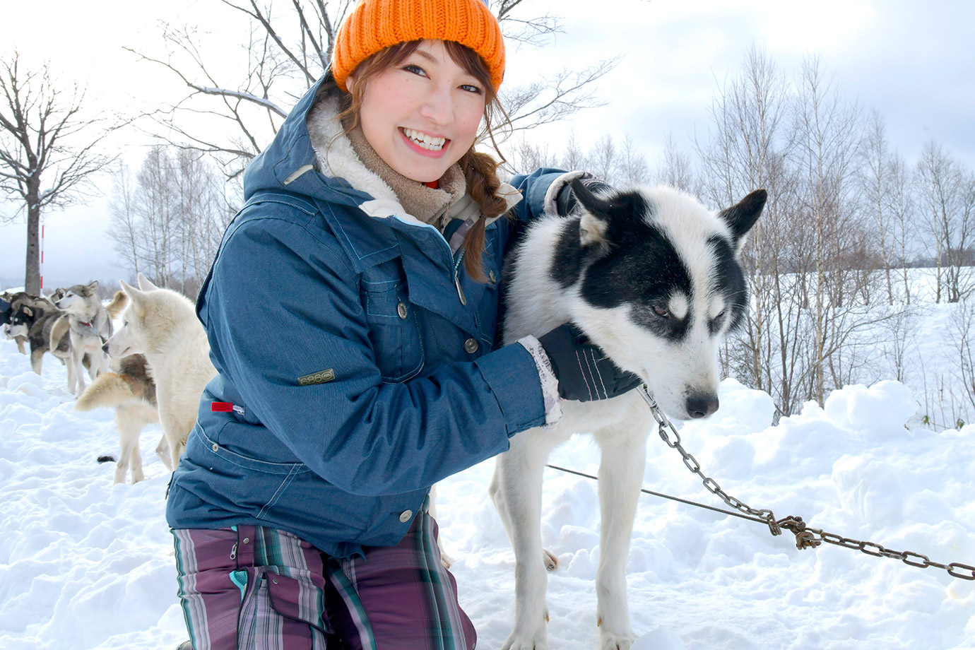 いつか見た童話の世界がここに！ 北海道・上川町で犬ぞり体験｜すごい