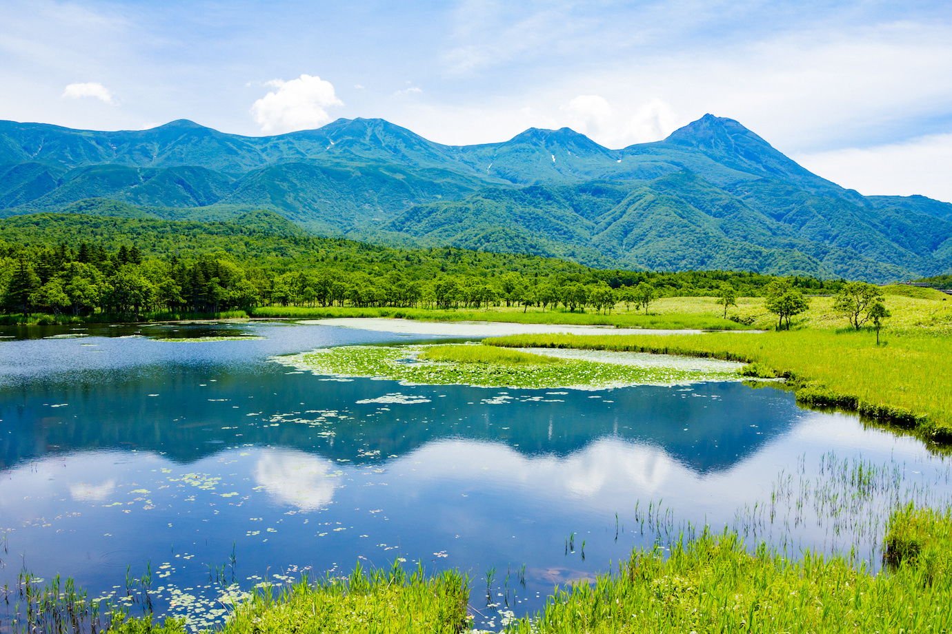 北海道 知床エリアで3泊4日 夏の観光の魅力をインスタグラムでprしてくれる旅人インフルエンサー募集 すごい旅人求人サイト Sagojo サゴジョー