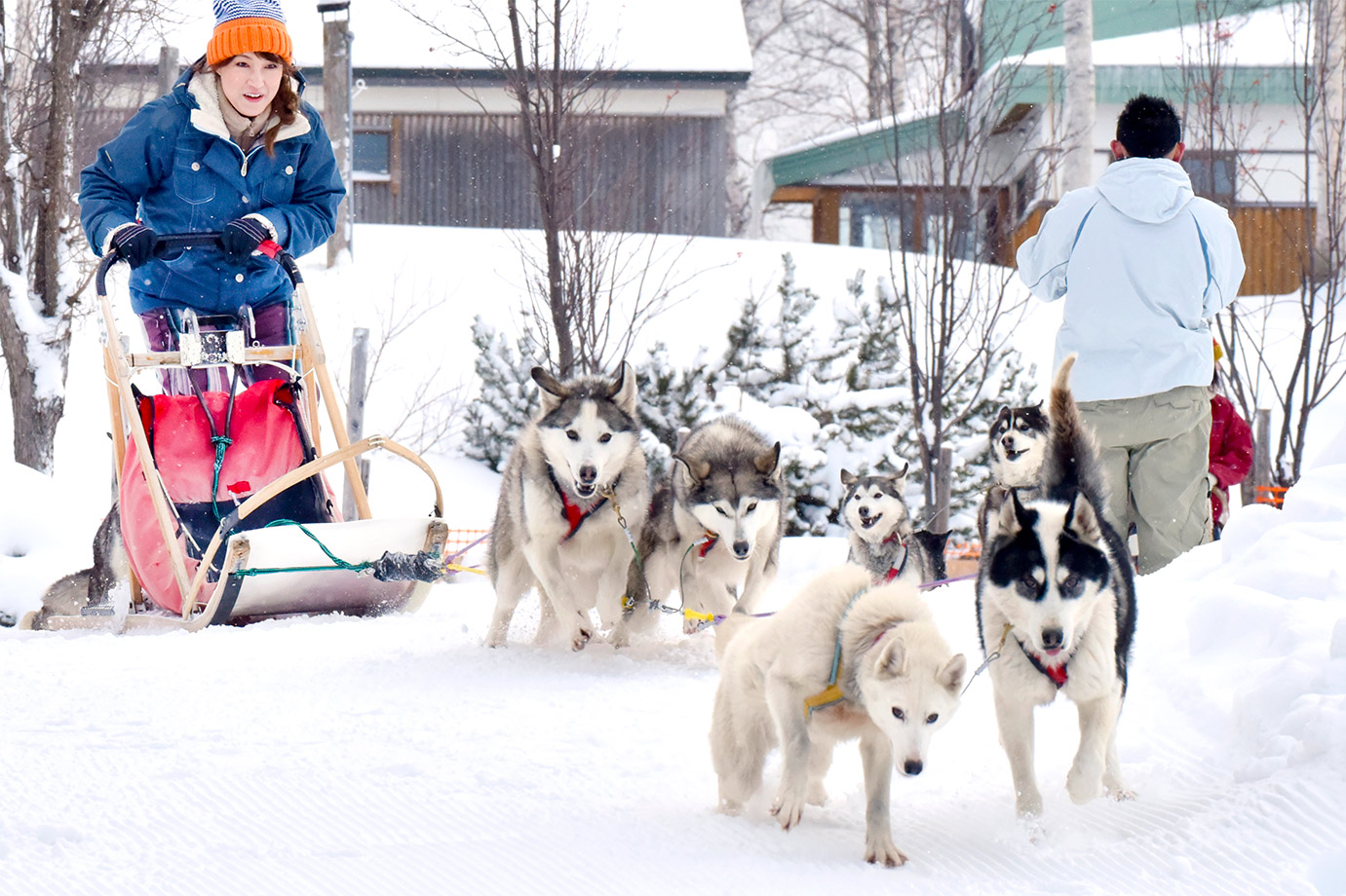 いつか見た童話の世界がここに！ 北海道・上川町で犬ぞり体験｜すごい